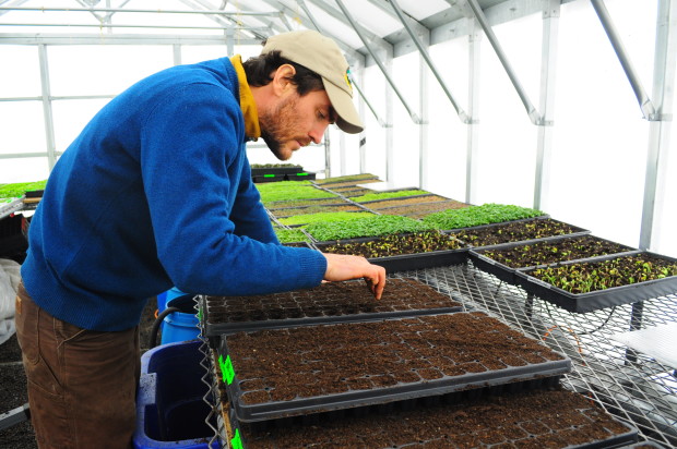 Rooftop Farming is on the Rise With Help From Brooklyn Grange