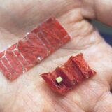 Tiny Origami Robot That Can Unfold Itself From a Swallowed Capsule