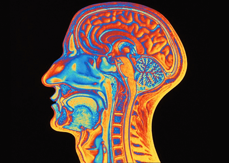 Scientists Prove Traditional IQ Tests Useless
