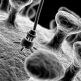 Do the Benefits of Nanotechnology Outweigh the Dangers?