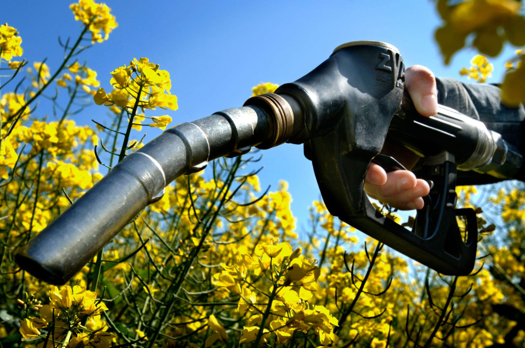 Scientists Discover Biofuels are Worse on the Environment than Petrol