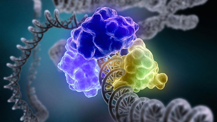 The Secrets Behind DNA Repair Revealed