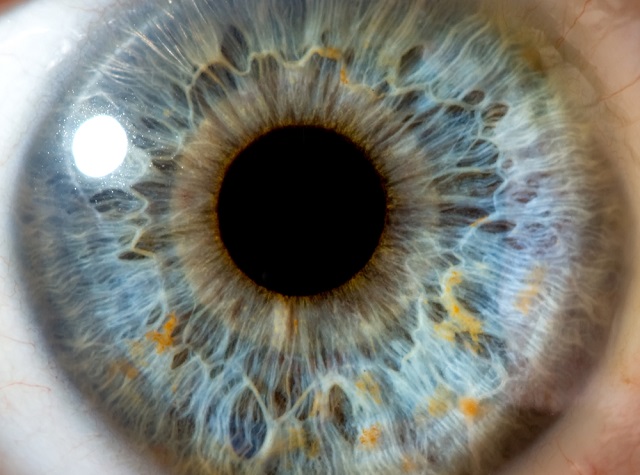 Smartphone Manufacturers Are Ready To Count On The Iris Scanners