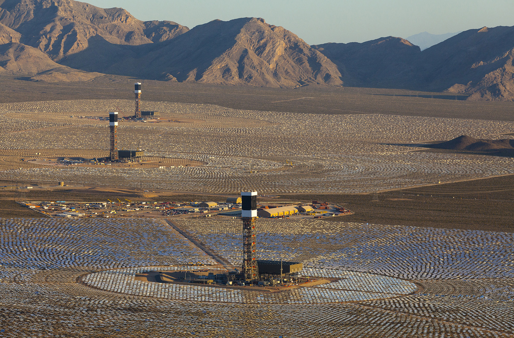 Mojave Desert Solar Plant Responsible for More Than 6,000 Bird Deaths Every Year