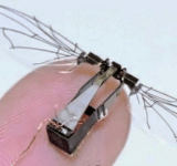 These Autonomous Microdrones Designed To Spy on Us