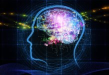 The Rise of Deep Learning