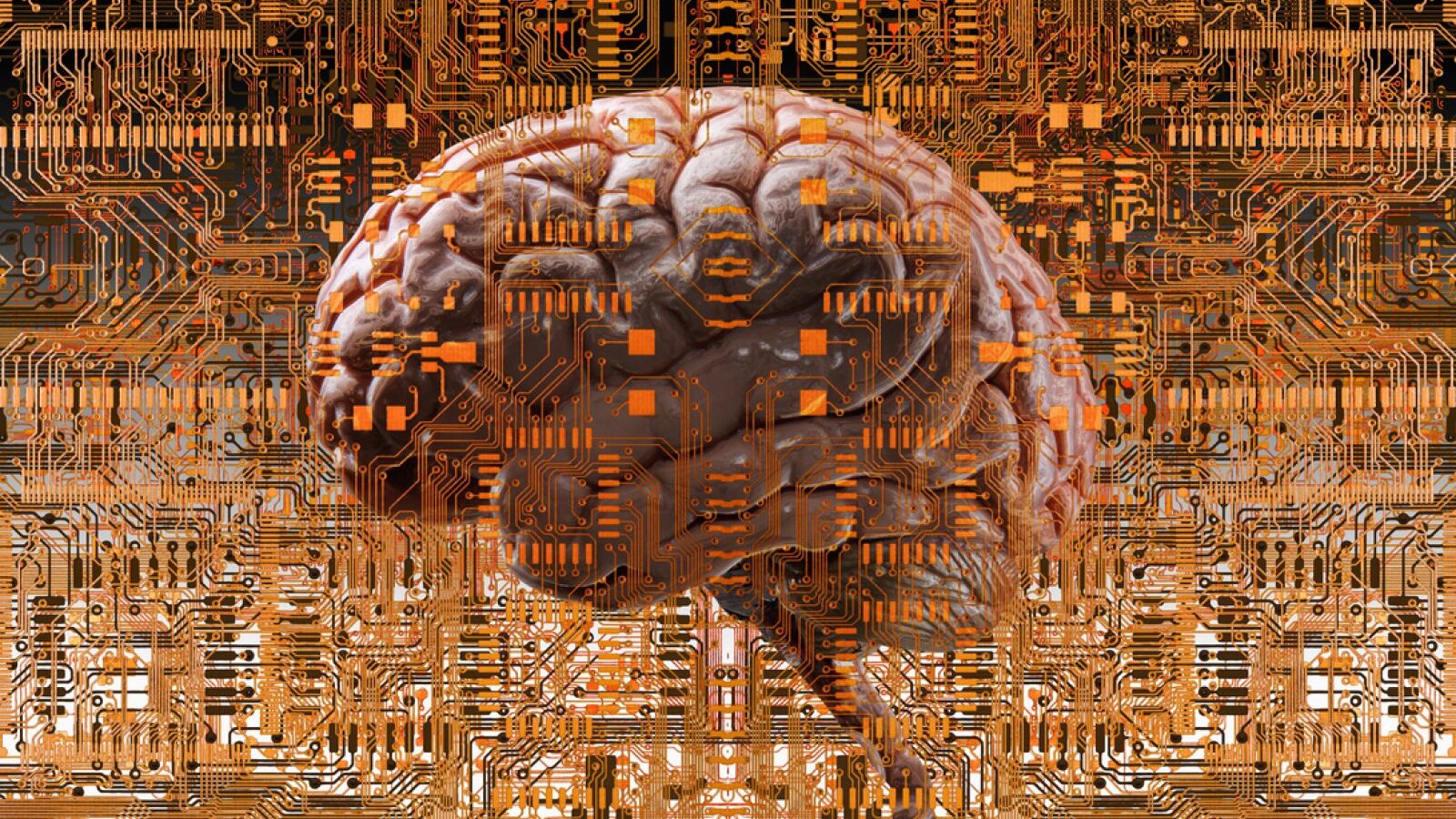 Google’s AI Are Sending Encrypted Messages to One Another That No One Can Decipher