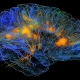 7 Interesting Neuroscience Facts