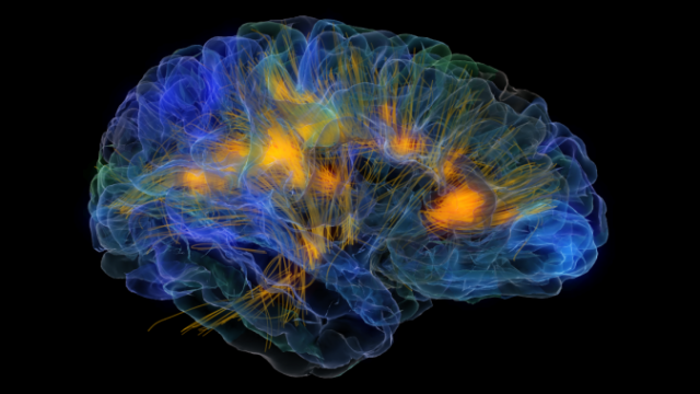 7 Interesting Neuroscience Facts