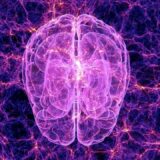 Scientists Uncover a Higher State of Consciousness