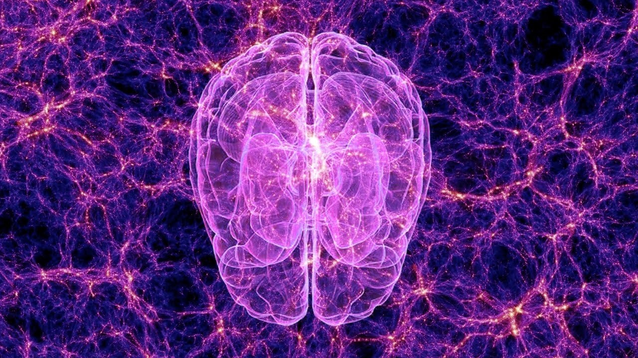 Scientists Uncover a Higher State of Consciousness