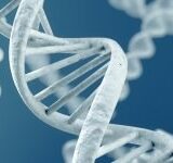 Hack Your Genes for Weight Loss and Anti-Aging.