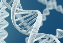 Hack Your Genes for Weight Loss and Anti-Aging.
