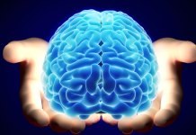 This Biotechnology Company Wants to Reanimate the Brain-Dead