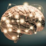IQ May Be Linked to Genetics, But We Still Can’t Predict Intelligence