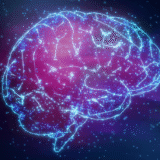 Imagine Being Able to Explore the Brain Like a Website