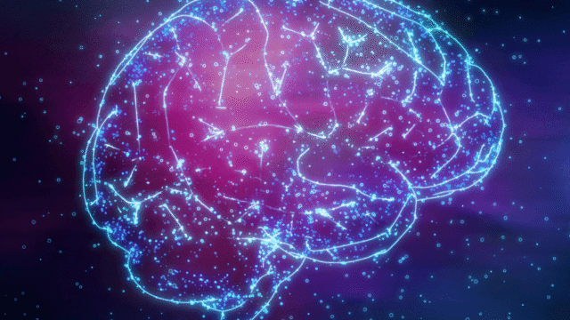 Imagine Being Able to Explore the Brain Like a Website