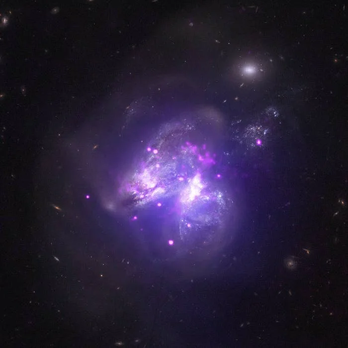 The Future of the Milky Way Mirrored in far off Black Holes