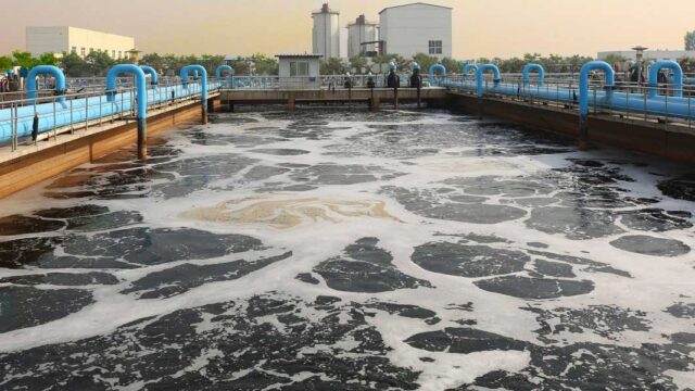 Could Bacteria-Coated Nanofiber Electrodes be Key to Cleaning Polluted Water?