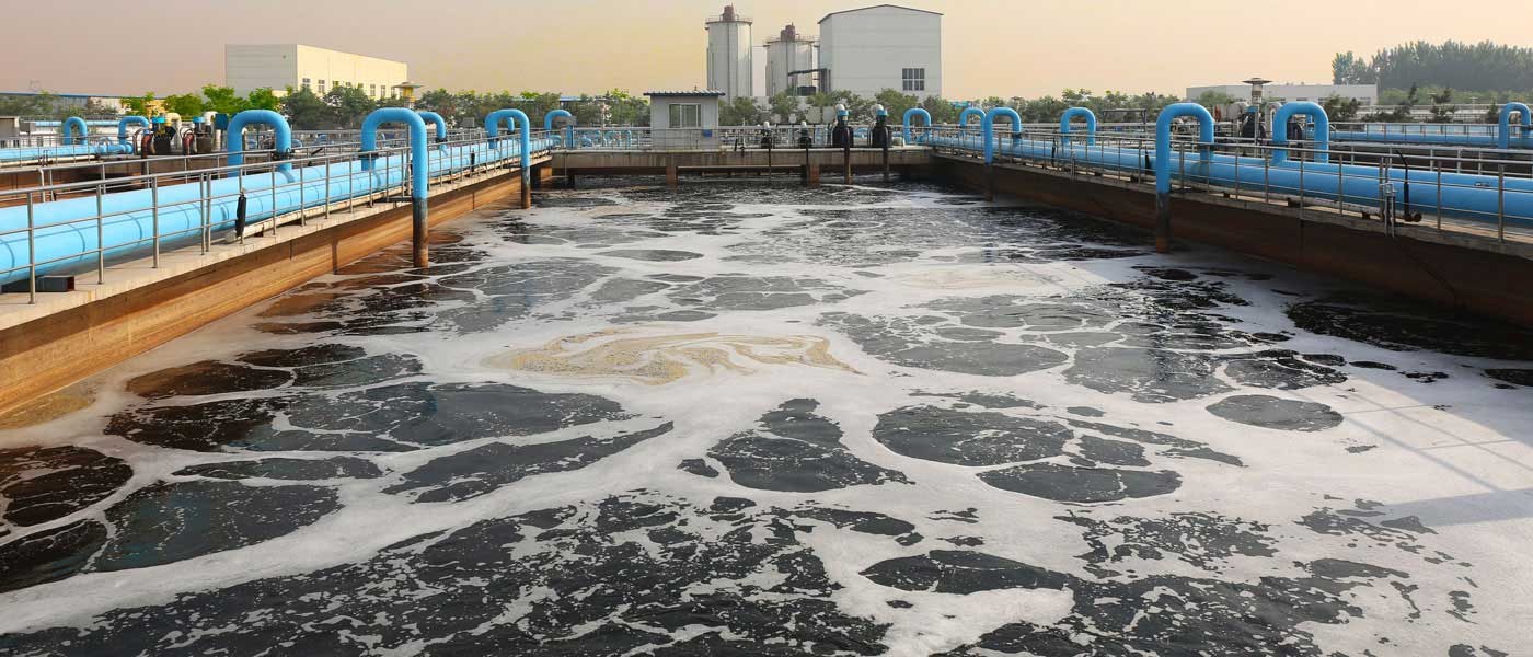 Could Bacteria-Coated Nanofiber Electrodes be Key to Cleaning Polluted Water?