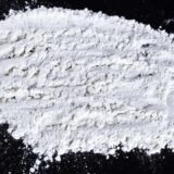 Scientist Identified a Portion of the Brain that Intensified the Desire For Cocaine