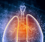 New Grant Allocated to Imperial College Professor to Research Incurable Lung Disease