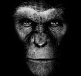 Research Detects Alzheimer’s Disease Might Have Markers in Apes