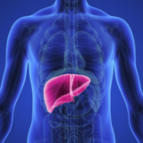 Researchers Discover Response in Liver Could Actually Help Treat Alcoholism