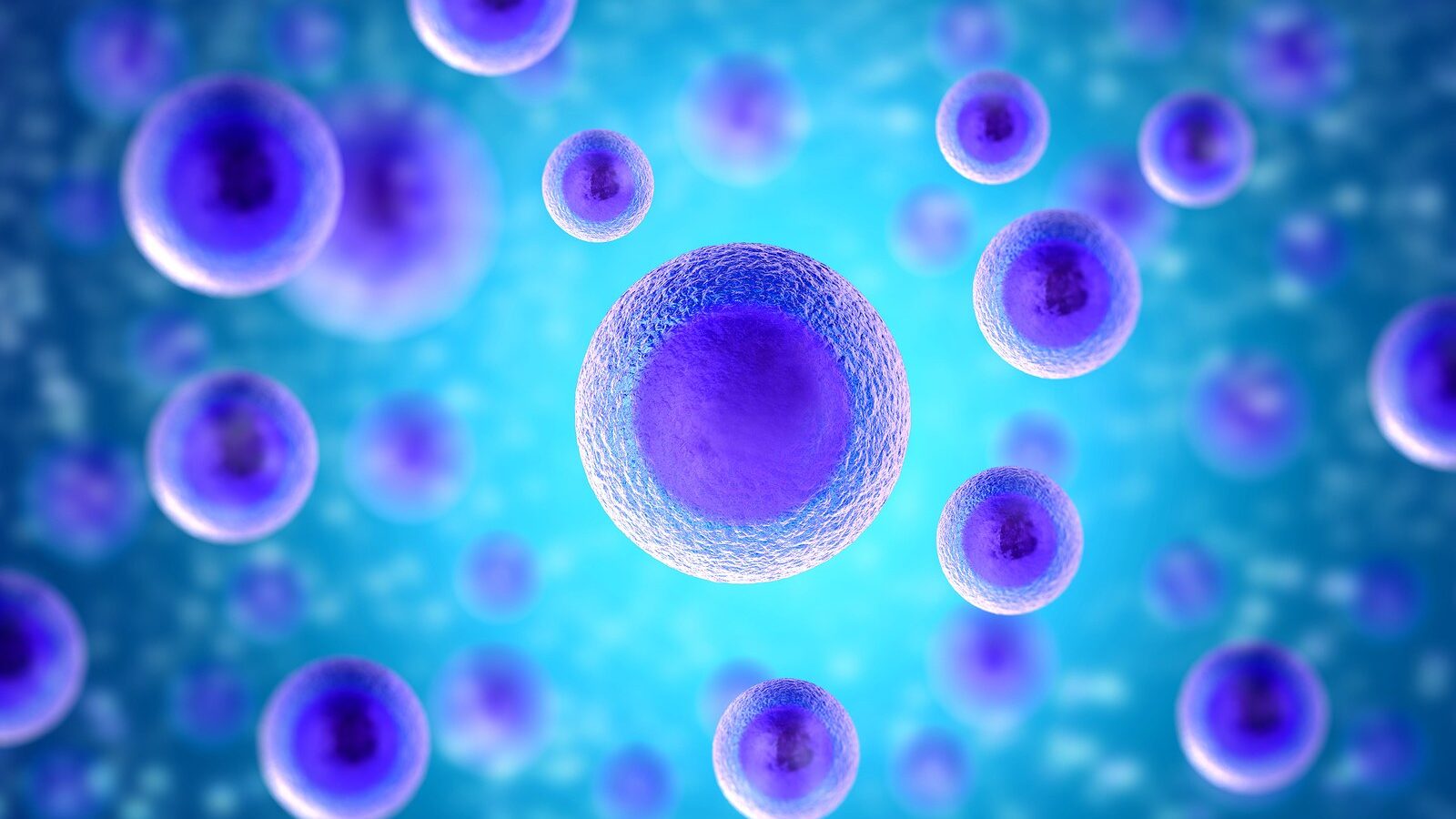 Researchers Discover the Human Body’s Internal Clock