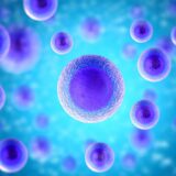 Researchers Discover the Human Body’s Internal Clock