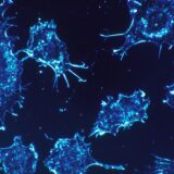 Are Enzymes the Answer to Curing Diseases Such as Cancer and Diabetes?