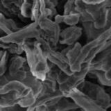 Are Nanodiamonds the Answer to Safer Batteries?