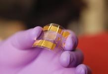 Engineers Develop World’s Most Functional and Flexible Transistor