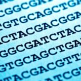 Synthetic Biology Takes Another Leap Forward with the Development of New Circuitry