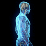 MIT Researchers Develop New Way to Communicate With Implants Within the Body