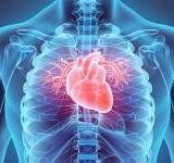 Are Vitamins and Supplements Really as Good as We Think at Lowering the Risk of Heart Disease?