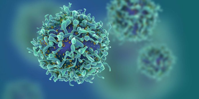 Researchers Have a Breakthrough as They Develop Synthetic T Cells That are Almost an Exact Replica of Human T Cells