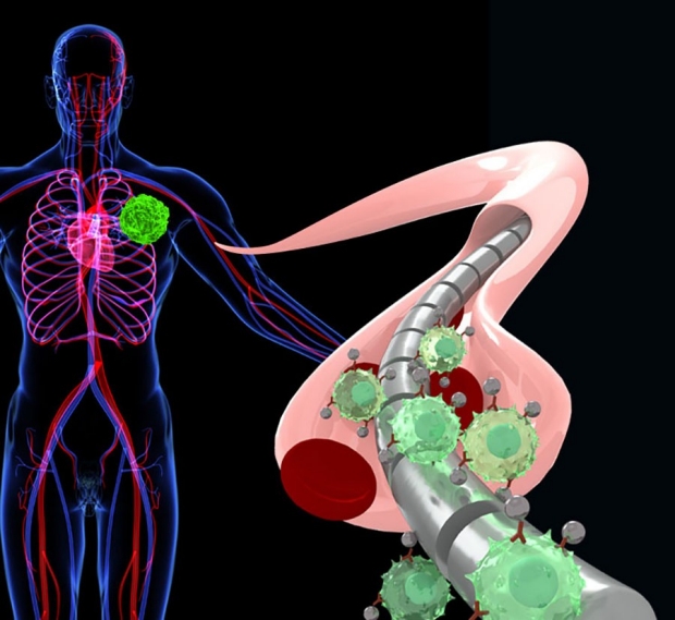 Is Magnetized Wire the Key Component Needed to Detect Cancer?