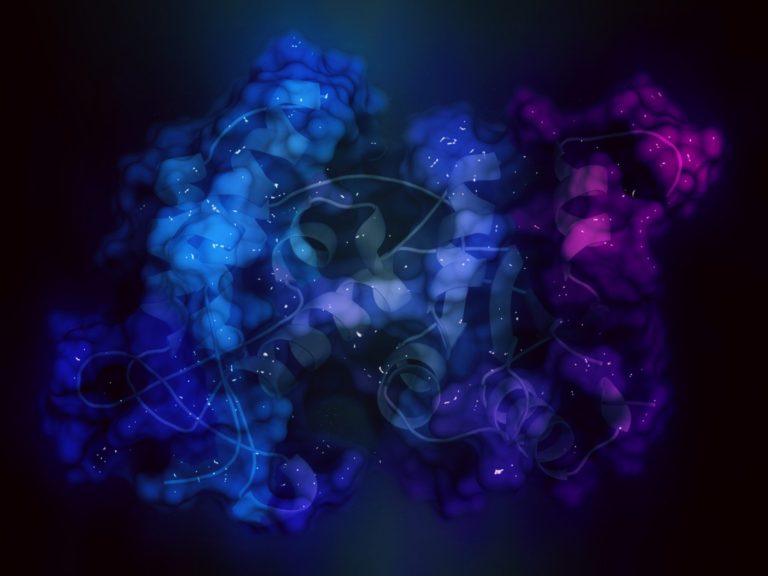 UCLA Scientists Report Their Deepest Understanding Yet of the Enzyme Telomerase 