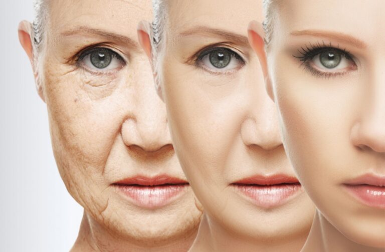 IL-17 Protein: A Key Player in Skin Aging and Potential Therapeutic Target