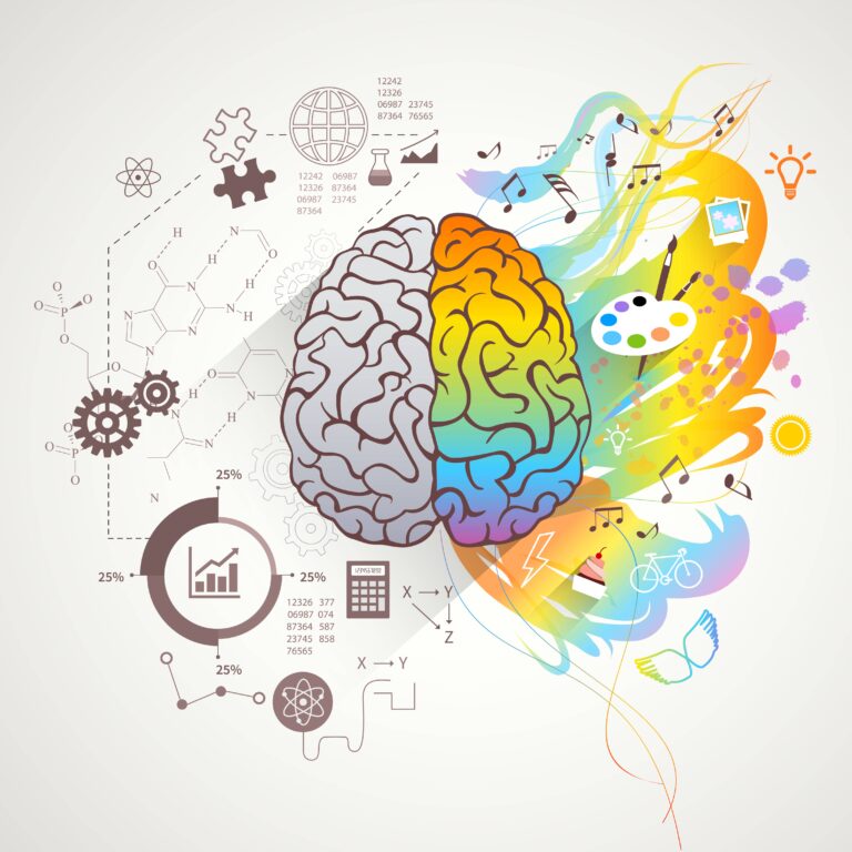 7 Key Distinctions Between the Brain and the Mind